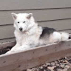 Meet your Posher, Jaime